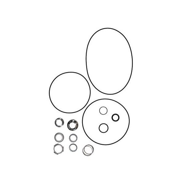 Pump Repair Kits- Kit. Shaft seal D22, LM/LP/NM/NP, Spare Part.